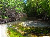 Punta Vaca Beach - VIEQUES